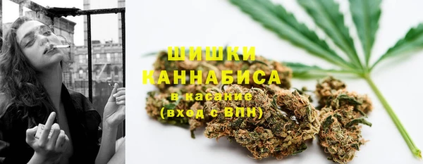 прущие грибы Иннополис