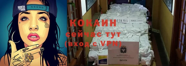прущие грибы Иннополис