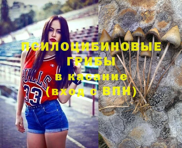 таблы Инсар