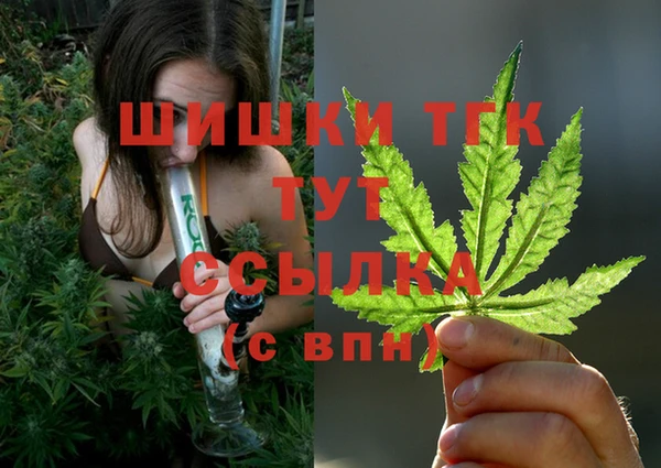 каннабис Инта
