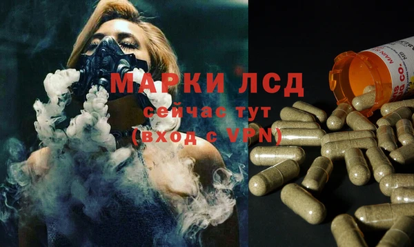 прущие грибы Иннополис