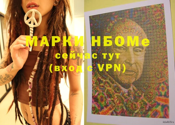 прущие грибы Иннополис