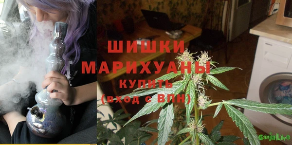 прущие грибы Иннополис