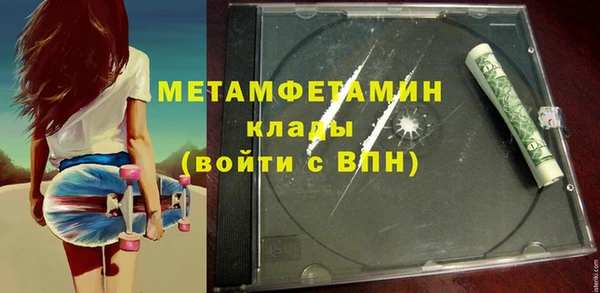 прущие грибы Иннополис