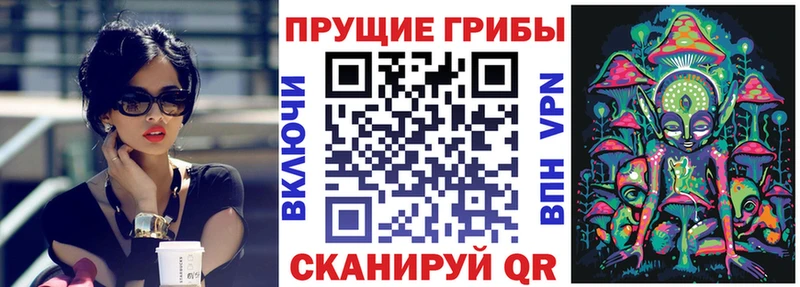 Купить где  Игарка  Галлюциногенные грибы мицелий 